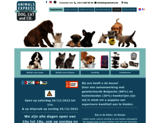 animals-express.com screenshot