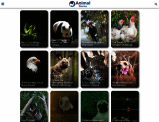 animals.visualstories.com screenshot