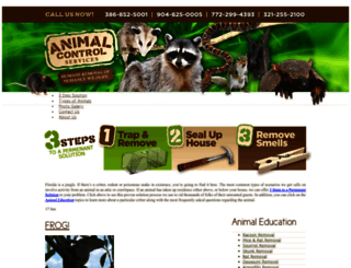 animalsoutfast.com screenshot