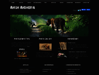 anishandheria.com screenshot