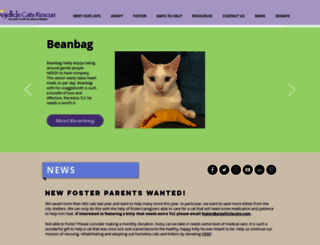 anjelliclecats.com screenshot