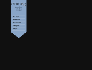 anmeg.com screenshot