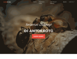 antokroto.com screenshot