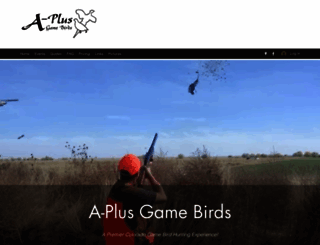 aplusgamebirds.com screenshot