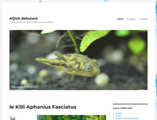 aquadebutant.com screenshot