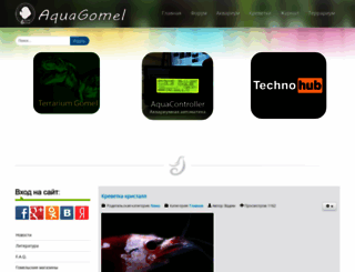aquagomel.ru screenshot