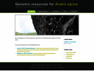 arabis-alpina.org screenshot