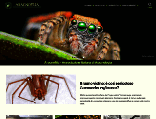 aracnofilia.org screenshot