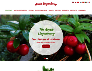 arcticlingonberry.fi screenshot
