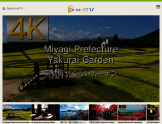 ari-tv.jp screenshot