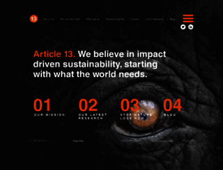 article13.com screenshot