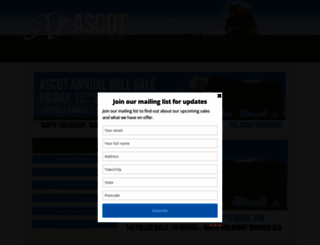 ascotcattle.com.au screenshot