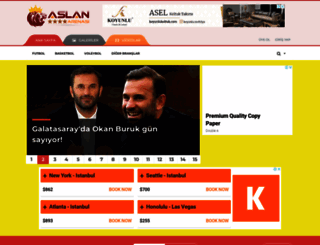aslanarenasi.com screenshot