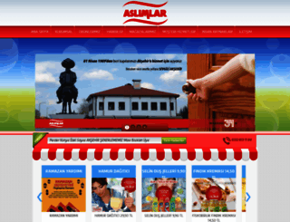 aslimlar.com screenshot