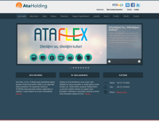 ataholding.com.tr screenshot