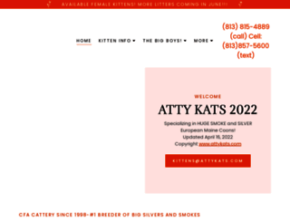 attykats.com screenshot