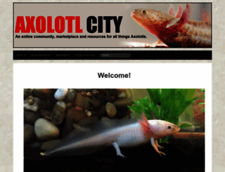 axolotlcity.com screenshot