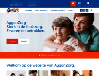 ayganzorg.nl screenshot