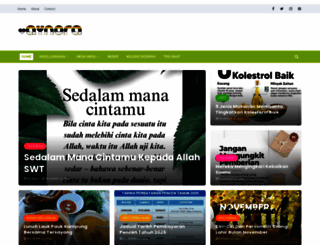 aynorablogs.com screenshot