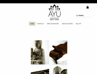 ayunewyork.com screenshot