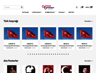 ayyildizbayrak.com screenshot