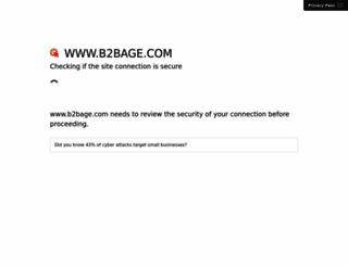 b2bage.com screenshot