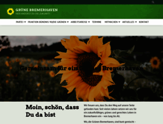 b90diegruenen-brhv.de screenshot