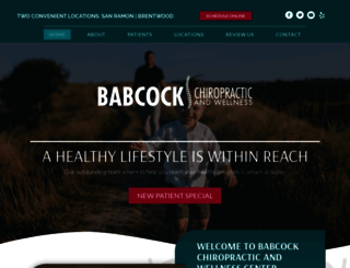 babcockchirowellness.com screenshot