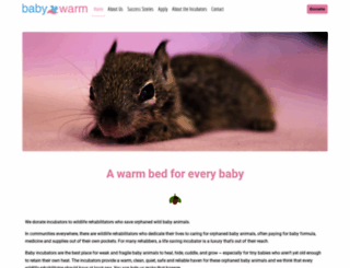 babywarm.org screenshot