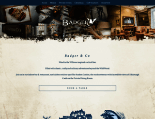 badgerandco.com screenshot