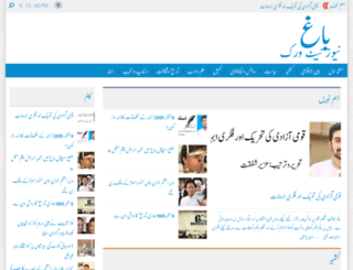 bagh.com.pk screenshot