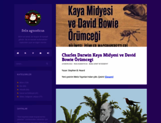 baharkilic.org screenshot