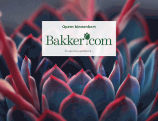 bakker-it.com screenshot