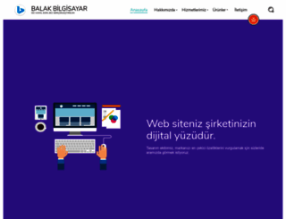 balakbilgisayar.com screenshot
