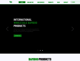 bamboovision.com screenshot