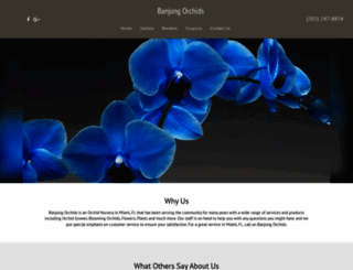 banjongorchids.net screenshot
