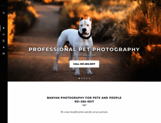banyanpetphotography.com screenshot
