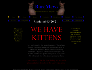 baremews.com screenshot