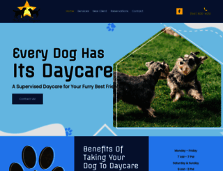 barkstarsdaycare.com screenshot