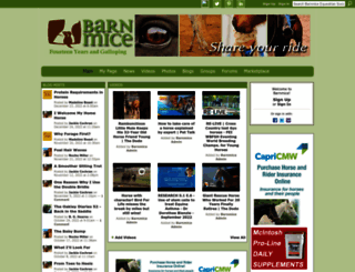 barnmice.com screenshot