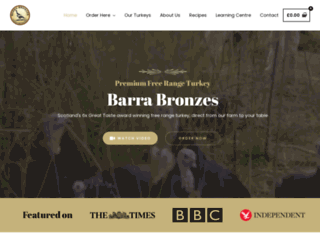barrabronzes.co.uk screenshot