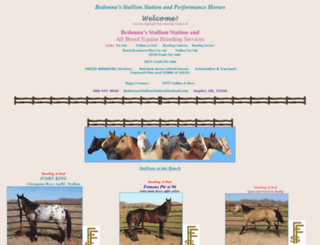 barrelhorses.biz screenshot