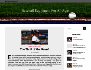 baseballequipmentpro.com screenshot