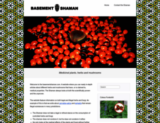 basementshaman.com screenshot