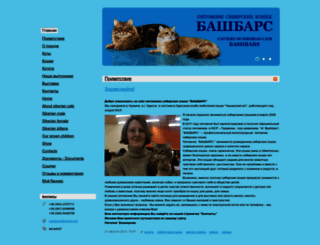 bashbars.nethouse.ua screenshot