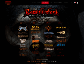 basinfirefest.cz screenshot