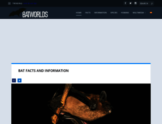 batworlds.com screenshot