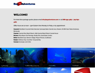 bayadventures.com screenshot