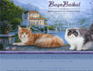 bayanbaikal.com screenshot