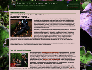 bayareamushrooms.org screenshot